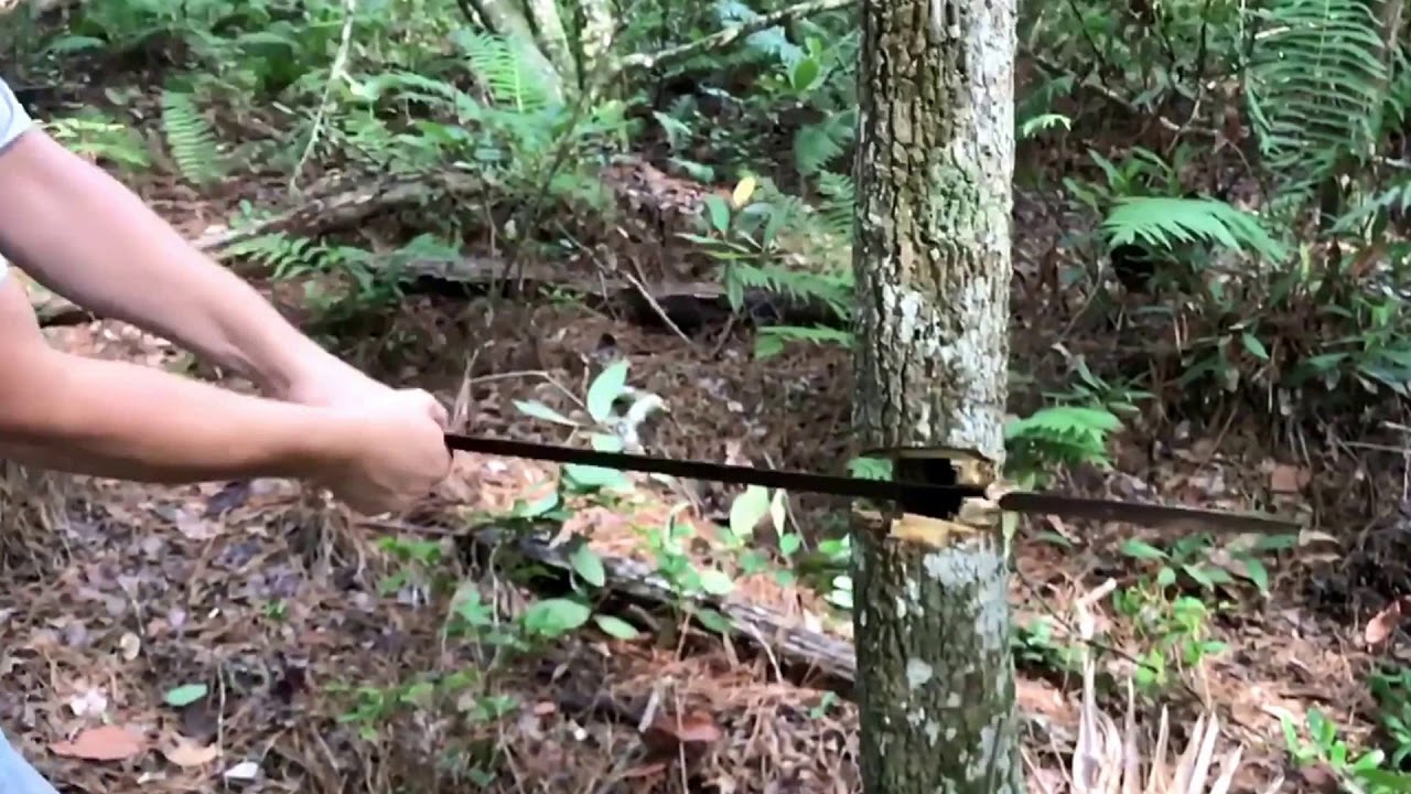 Cutting down a tree with a machete
