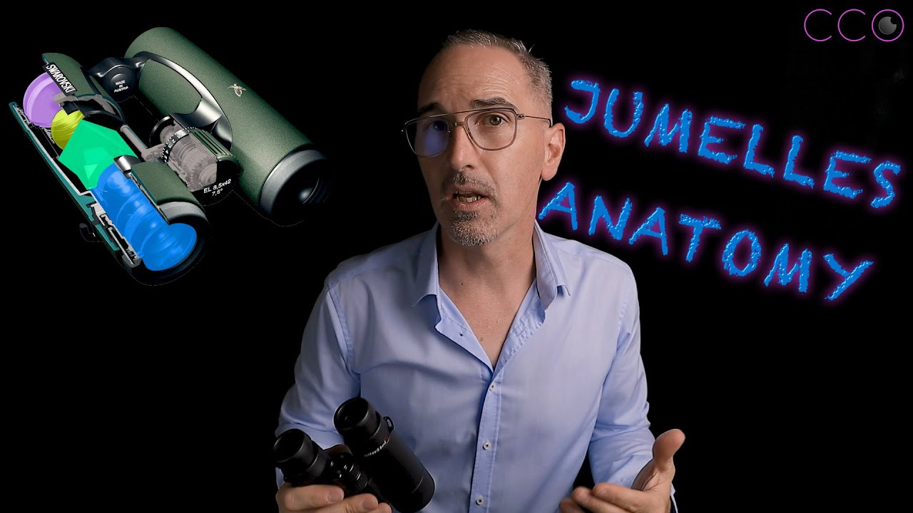 3 · Jumelles Anatomy...