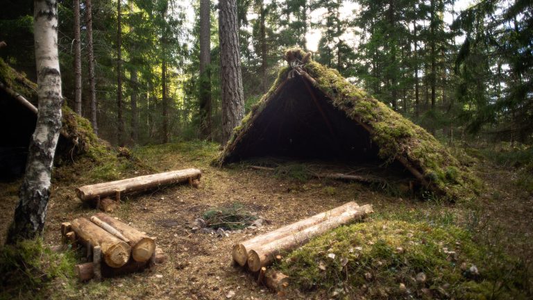 stage de survie création d'abri
