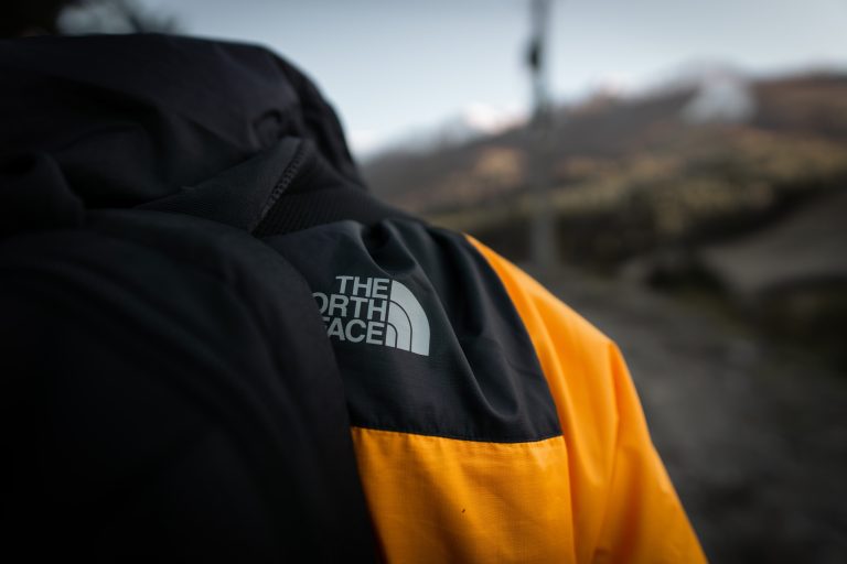 parka the north face